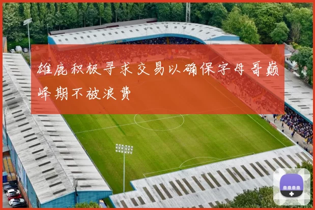 雄鹿积极寻求交易以确保字母哥巅峰期不被浪费