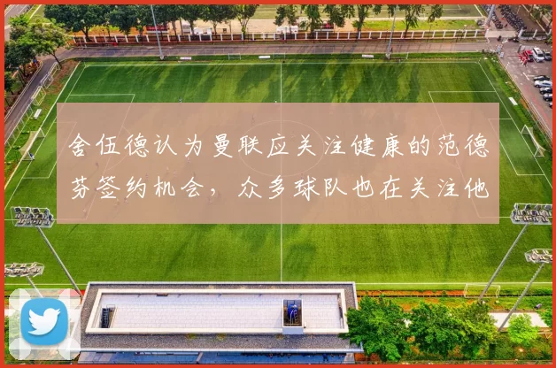 舍伍德认为曼联应关注健康的范德芬签约机会，众多球队也在关注他